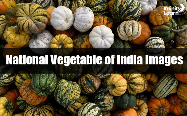 National Vegetable of India Images