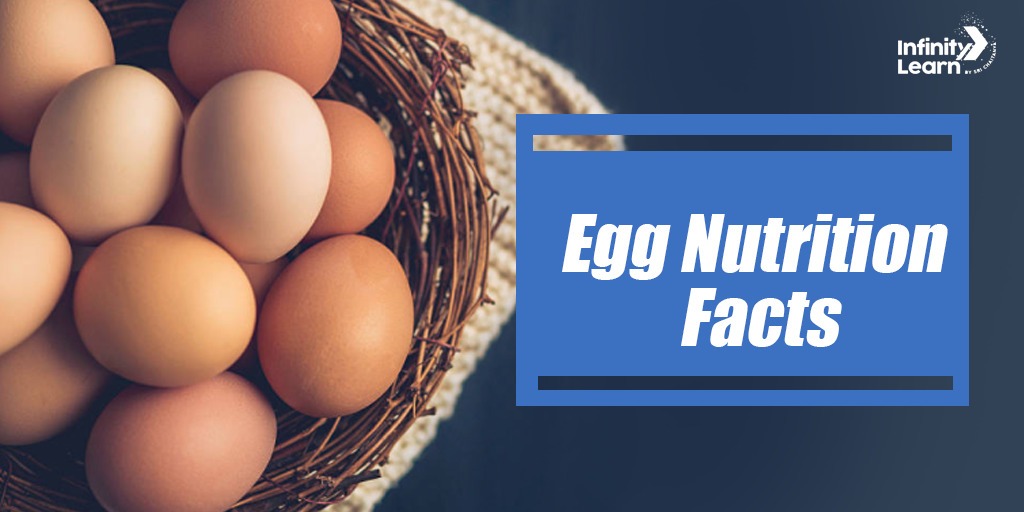 egg-nutrition-facts-benefits-nutritional-content-infinity-learn