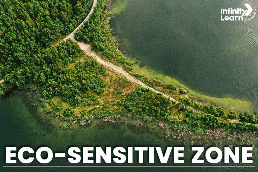 Eco Sensitive Zones (ESZ) in India Wildlife Conservation