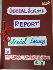 Social Issues Project Class 10 With Pictures SST