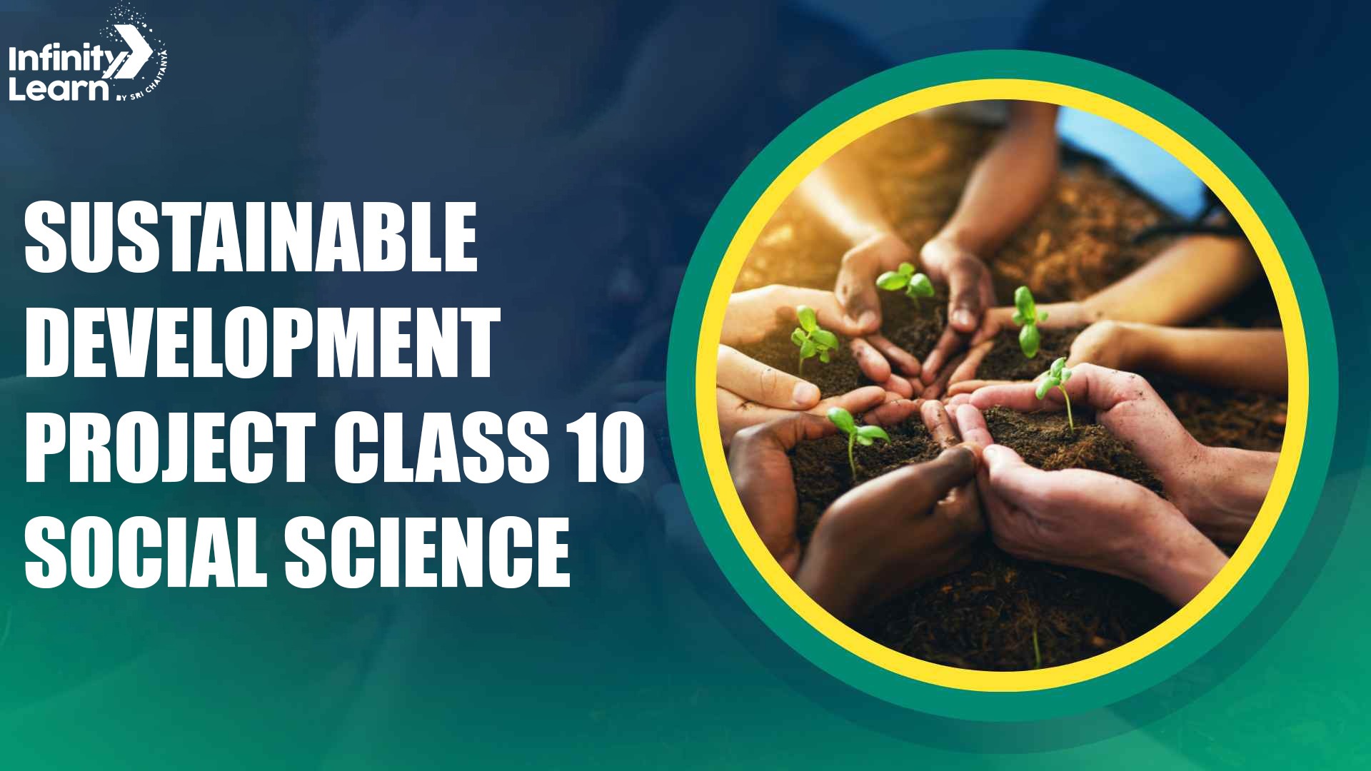 Sustainable Development Project Class 10 Social Science 