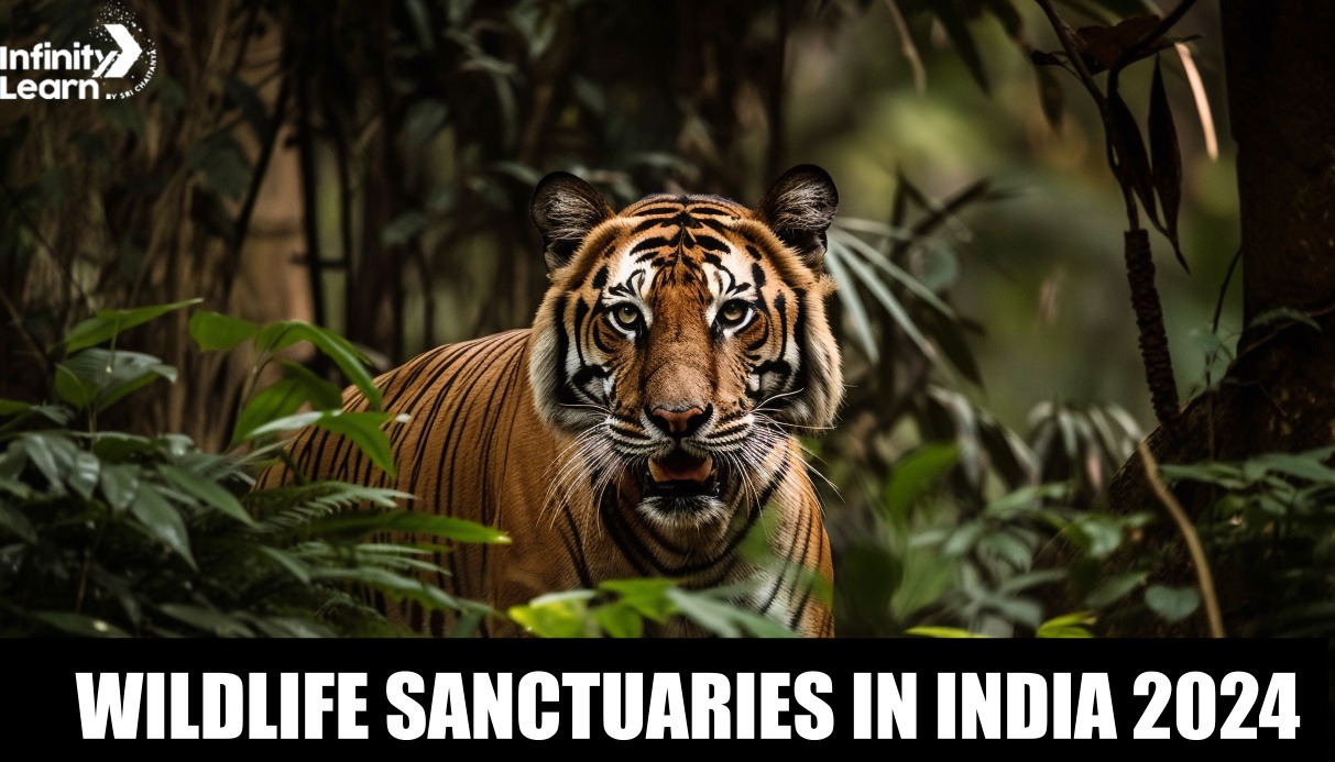 Wildlife Sanctuaries in India 2024
