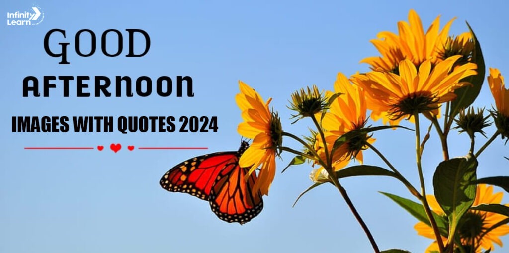 50 Best Good Afternoon Images with Quotes to Brighten Your Day