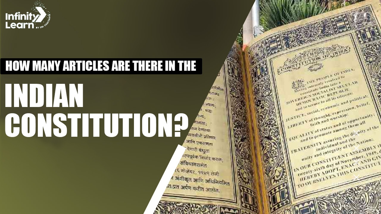 How many Articles are There in the Indian Constitution?