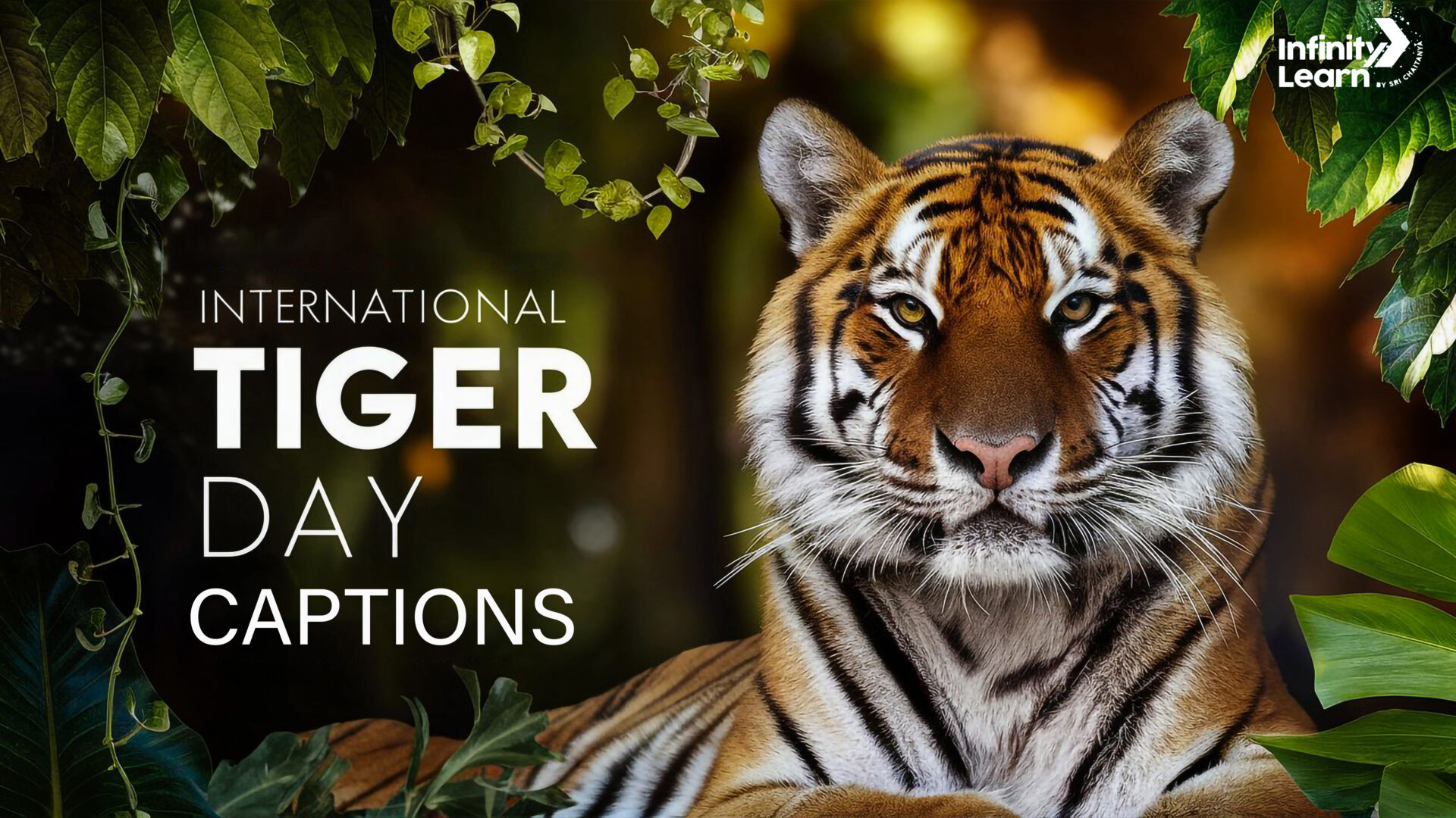 International Tiger Day caption