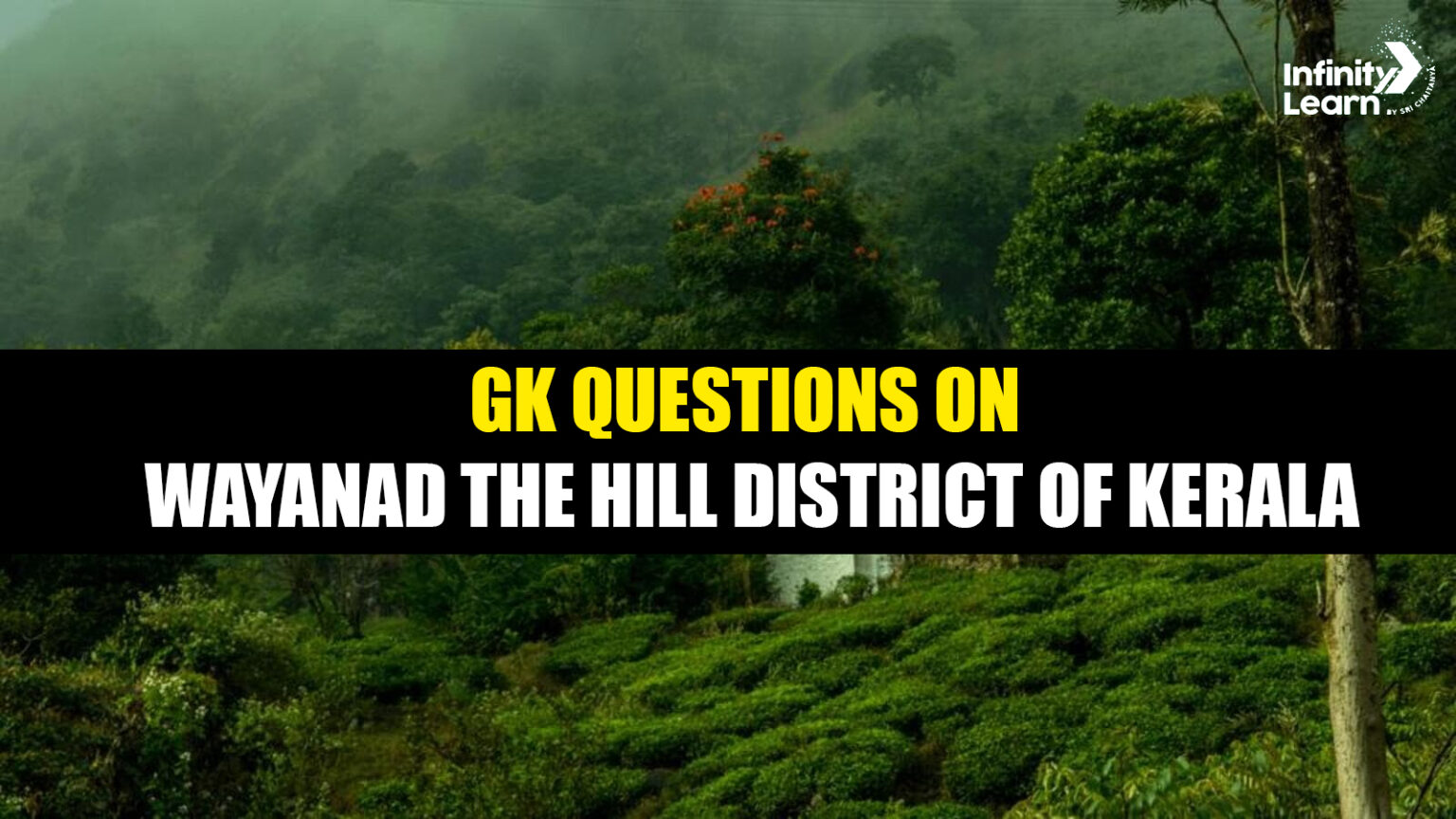 Wayanad Vector 60+ GK Questions on Wayanad -The Hill District Of Kerala