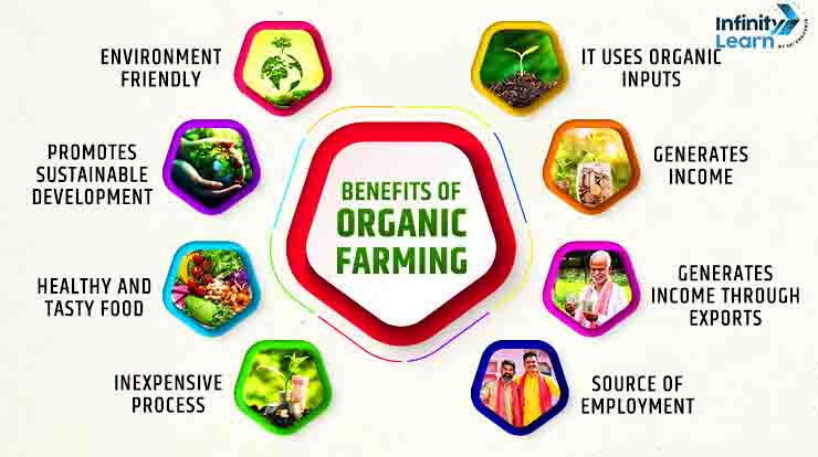 Benefits Of Organic Farming In India