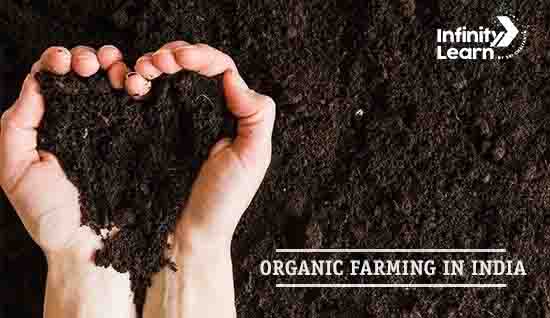 Organic Farming In India