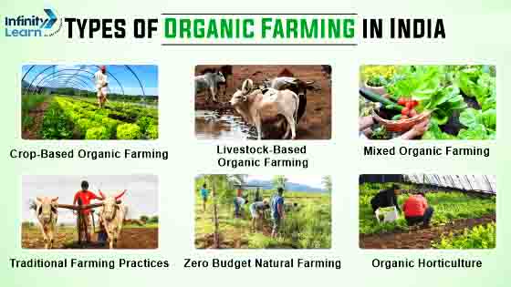 Types of Organic Farming