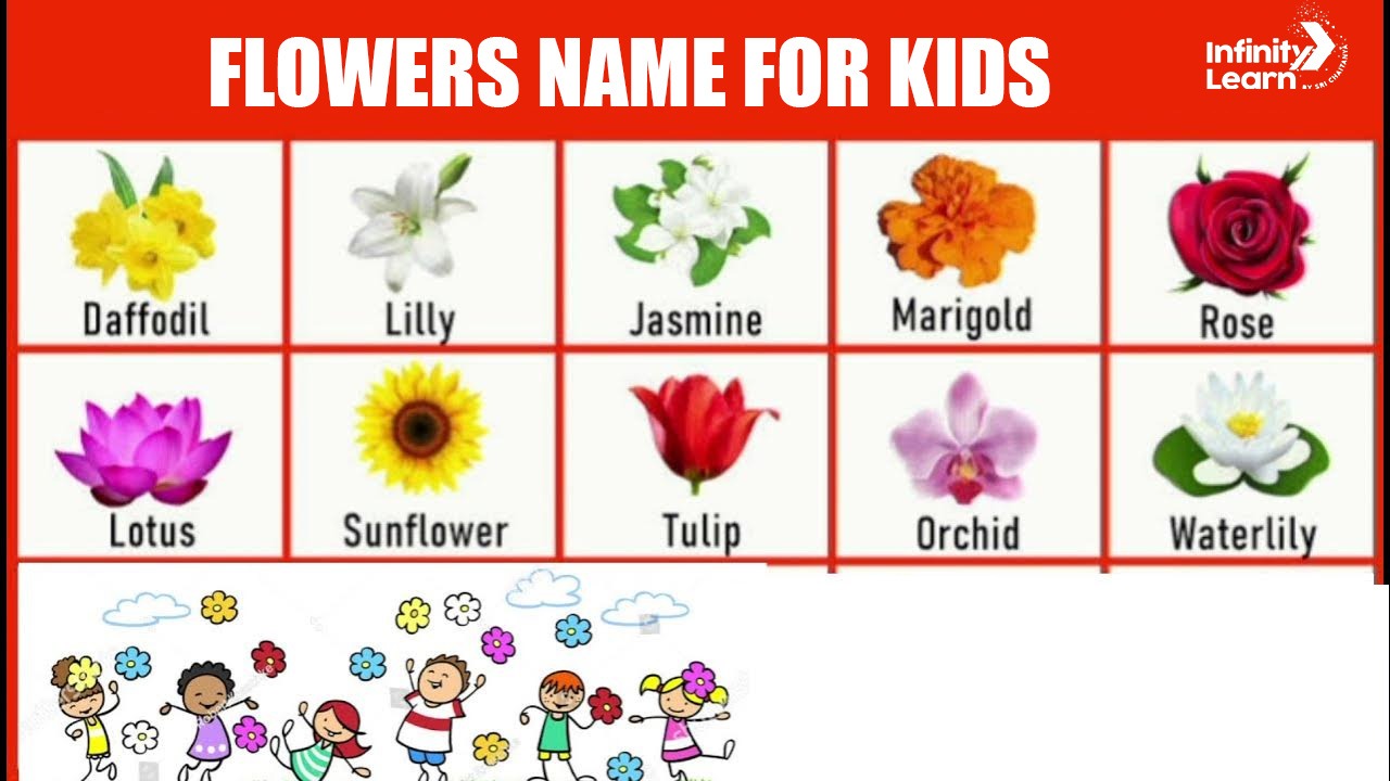 Flowers Name for Kids 