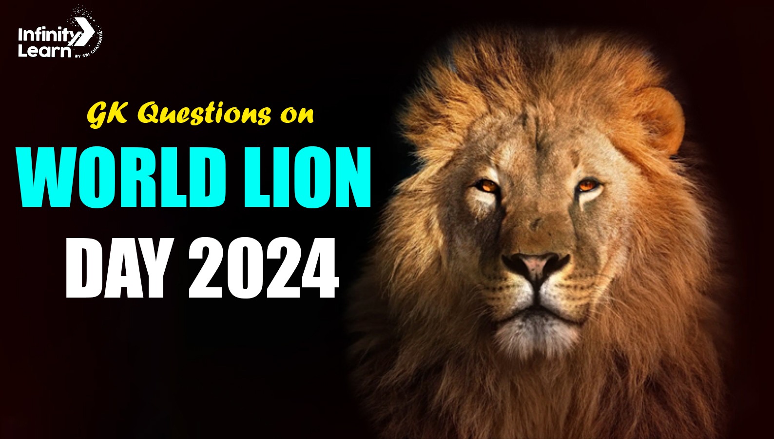 GK Questions on World Lion Day 2024