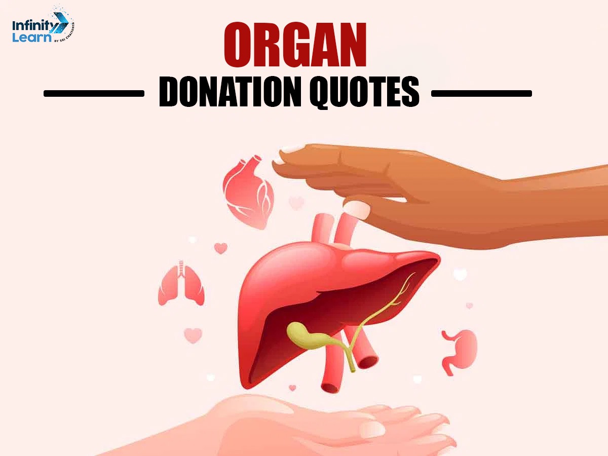 Organ Donation Quotes