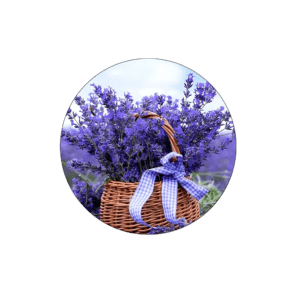 Lavender Image