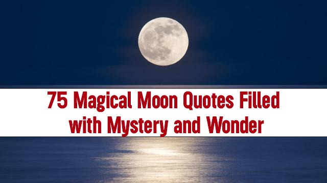 75 Magical Moon Quotes Filled with Mystery and Wonder 