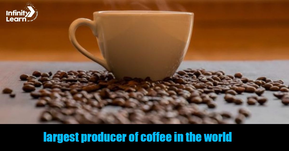 Largest Producer of Coffee in the World