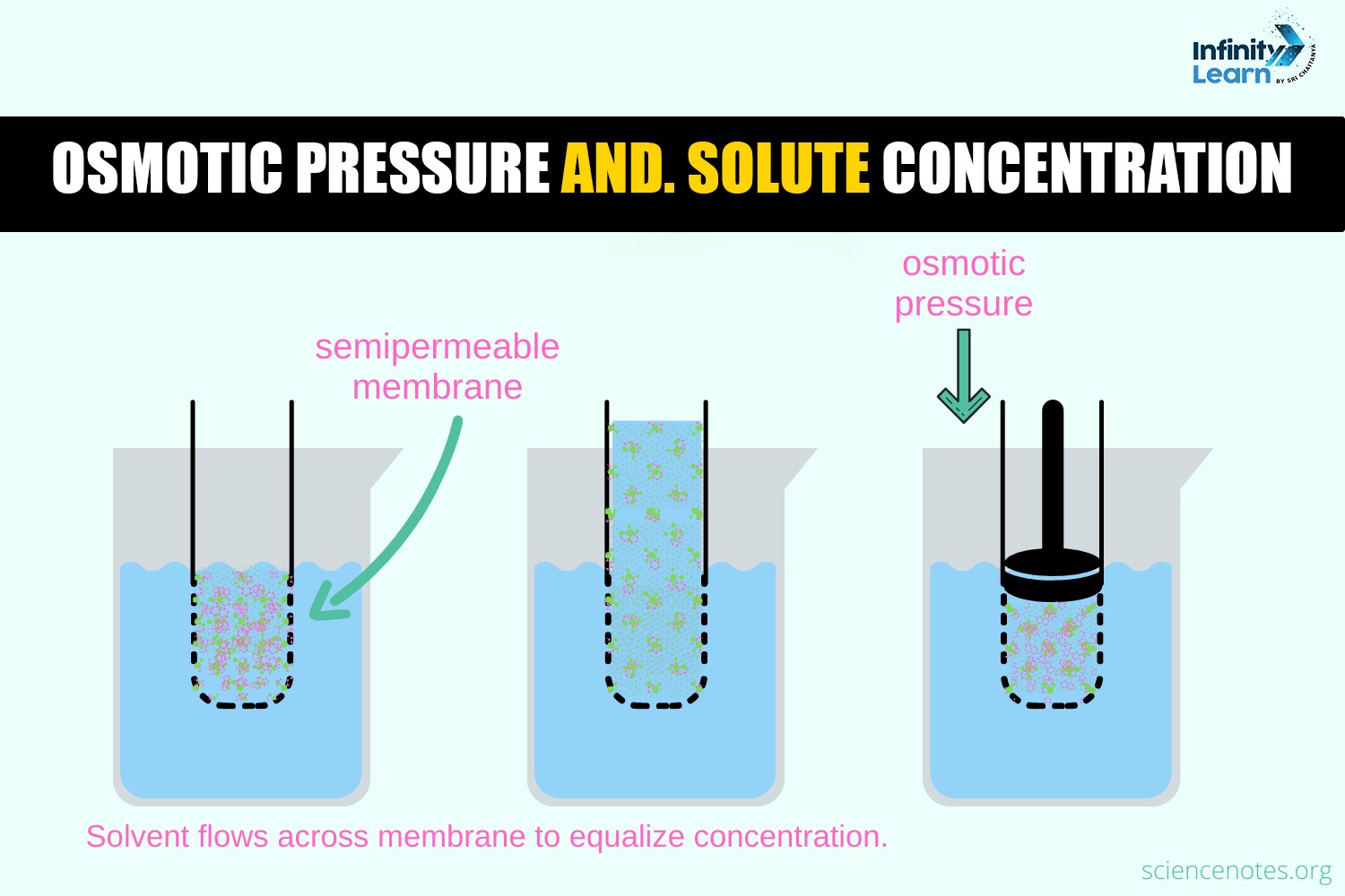 Important Graphs in Biology for NEET 2025 - Osmotic Pressure and Solute Concentration