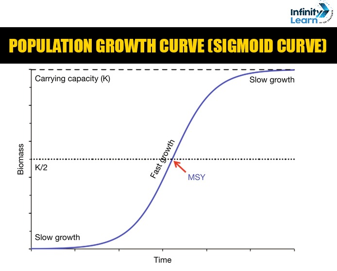 Population Growth Curve (Sigmoid Curve) 