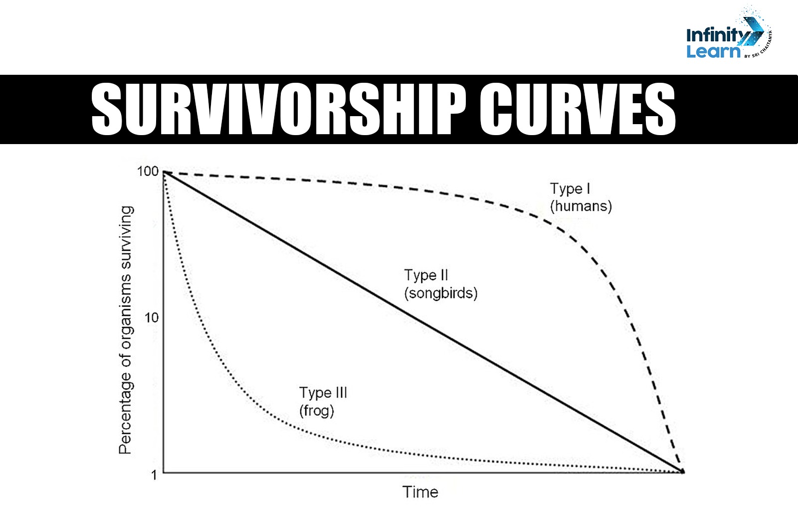 Survivorship Curves 