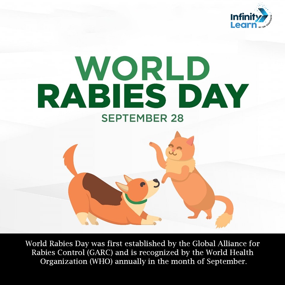 World rabies day 2024 poster