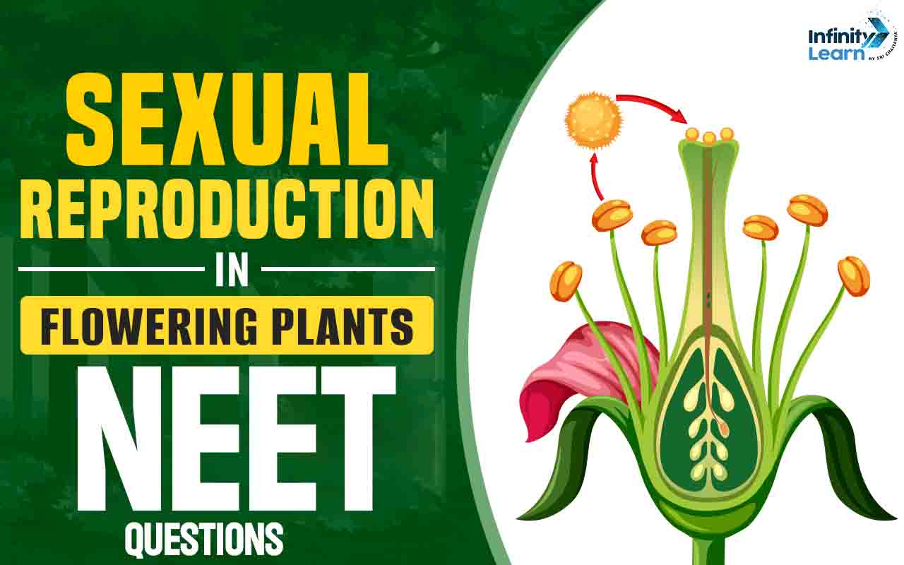 sexual reproduction in flowering plants neet questions