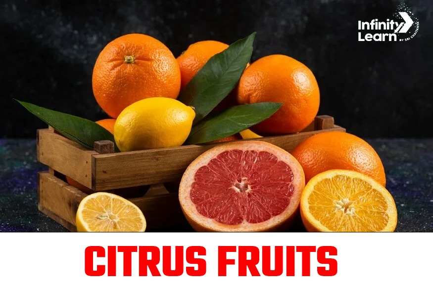 citrus fruits