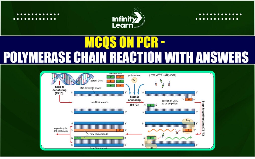 MCQs on PCR - Polymerase Chain Reaction with Answers