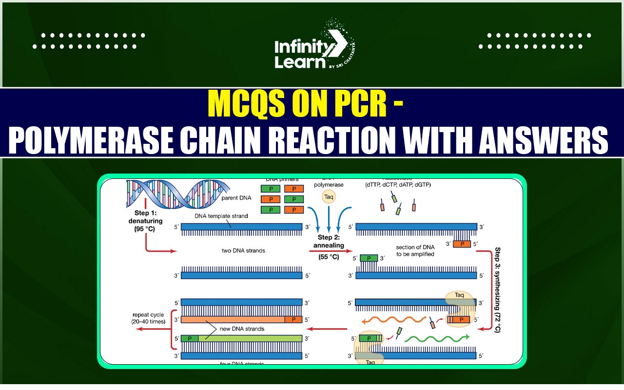 MCQs on PCR Polymerase Chain Reaction with Answers 