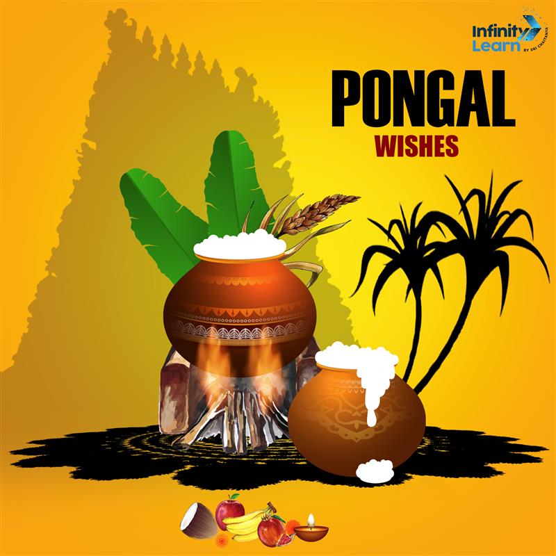 Pongal Wishes