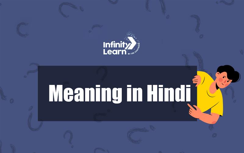 Meaning in Hindi